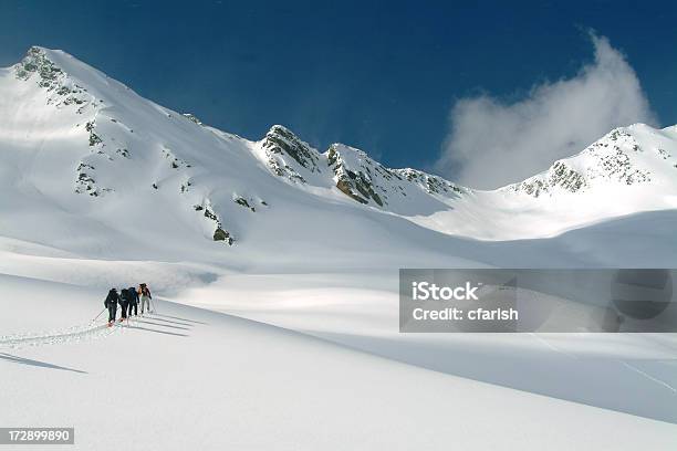 Skitouren In Den Kanadischen Rockies Stockfoto und mehr Bilder von Skitourengehen - Skitourengehen, Telemarkskilaufen, Roger's Pass