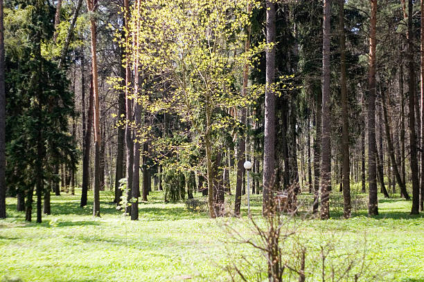 Welcome, spring! stock photo