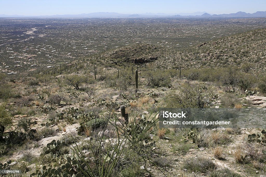 Paesaggio desertico estremo sopra, Tucson, Arizona - Foto stock royalty-free di Ambientazione esterna