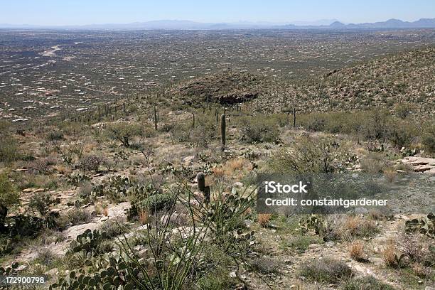 Paesaggio Desertico Estremo Sopra Tucson Arizona - Fotografie stock e altre immagini di Ambientazione esterna - Ambientazione esterna, Arizona, Cactus