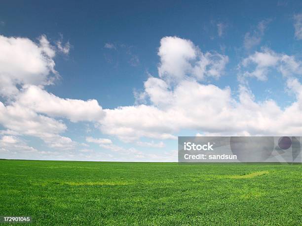 Den Frühling Stockfoto und mehr Bilder von Abgeschiedenheit - Abgeschiedenheit, Blau, Ebene