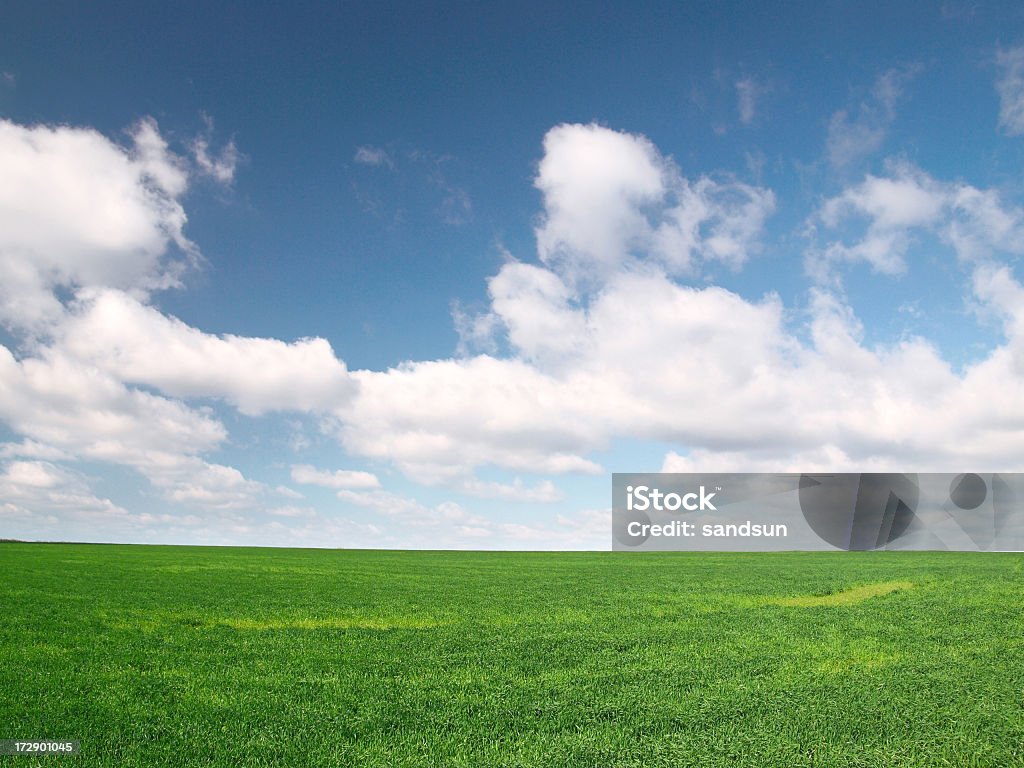 Le printemps - Photo de Agriculture libre de droits