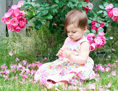 Cute baby girl of 12 months sitting in petales of roses.http://i27.servimg.com/u/f27/09/04/17/08/untitl10.jpg