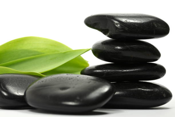 istock Lava Stones with Leaves 172901114