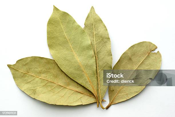 Baía De Quatro Folhas Em Branco - Fotografias de stock e mais imagens de Comida - Comida, Comida Desidratada, Comida e Bebida