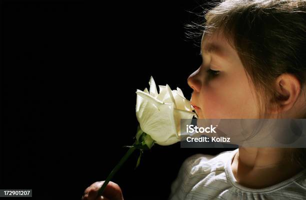 Annusare Una Rosa - Fotografie stock e altre immagini di 2-3 anni - 2-3 anni, Amore, Annusare