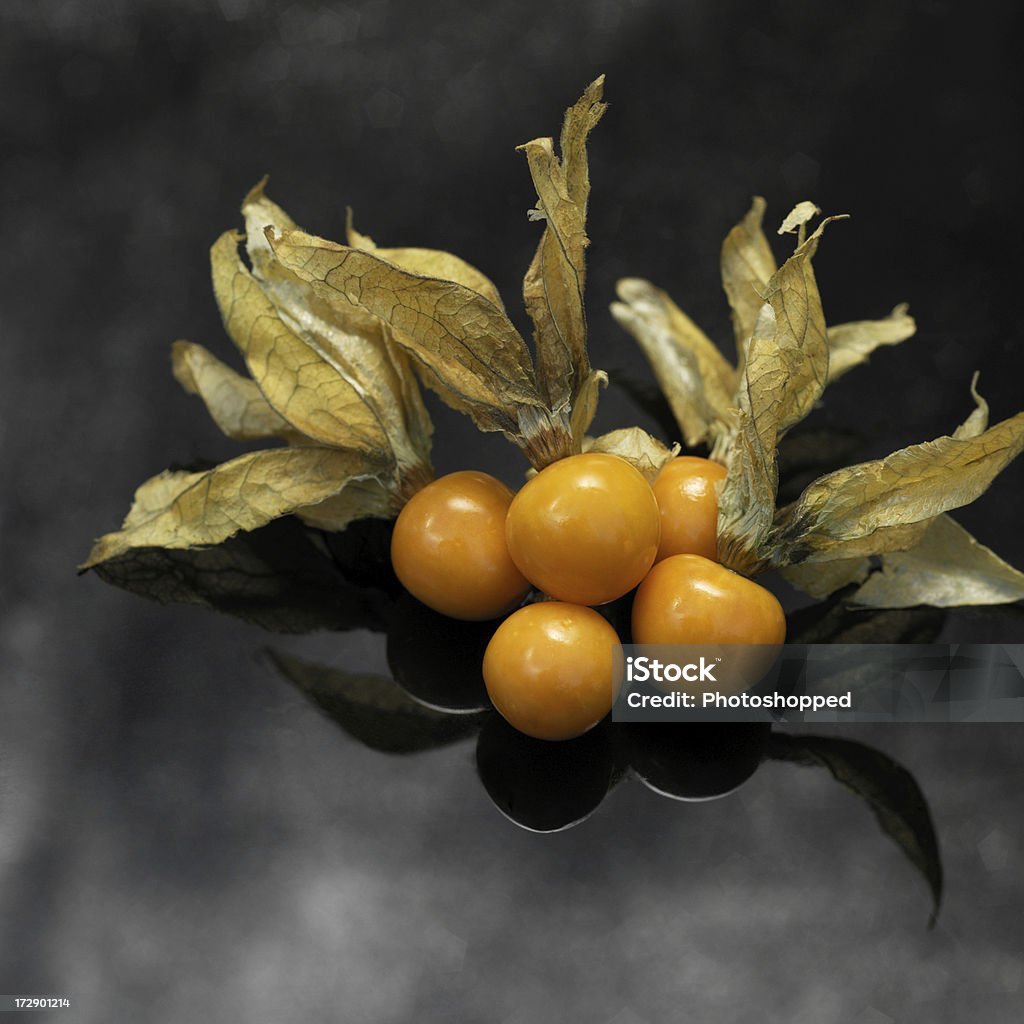 Kap goosberries - Lizenzfrei Blasenkirsche Stock-Foto