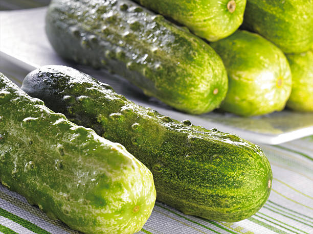 A vast quantity of Green cucumbers stock photo