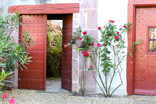 Old red doors with wrought iron details and colorful rose plant in Ainhoa town, France