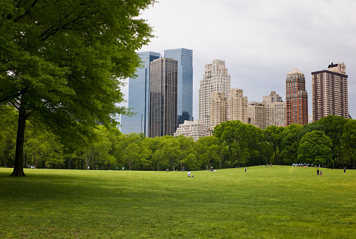 Sunday Morning in Central Park, New York City, New York