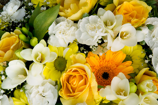 Mixed flowers in yellow and white, including gypsophila, freesias, roses and carnations.