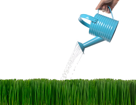 Woman watering grass with blue metal watering can