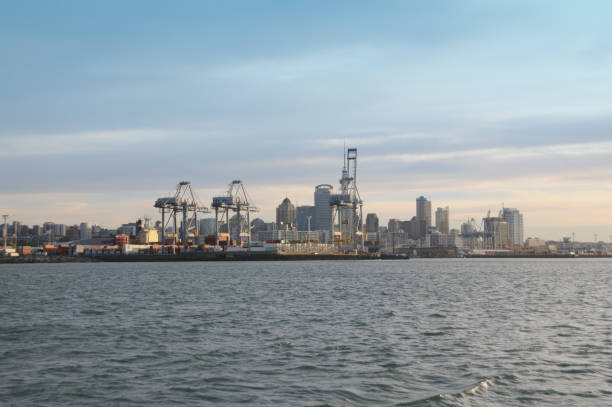 istock Auckland Docks and city 172901884