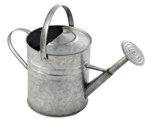 istock Traditional Metal Watering Can 172902020