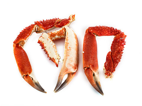 king crab leg in front of white background