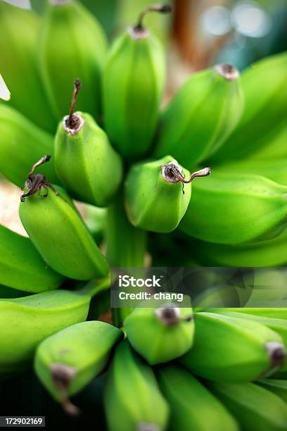 Bananen Stockfoto und mehr Bilder von Agrarbetrieb - Agrarbetrieb, Banane, Bund
