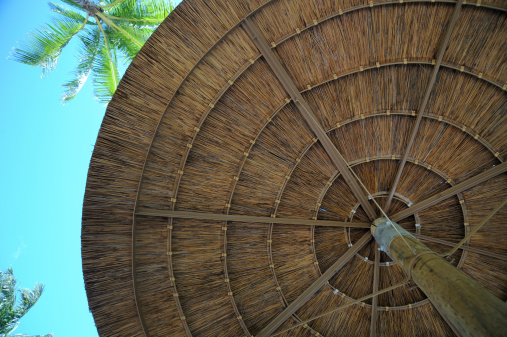 a tiki pool hut / beside a tropical pool / as seen from below