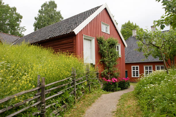istock Summer At a Farm In Norway 172902655