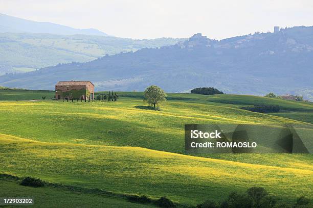 Masseria E Un Prato Giallo In Val Dorcia Toscana Italia - Fotografie stock e altre immagini di Bellezza naturale