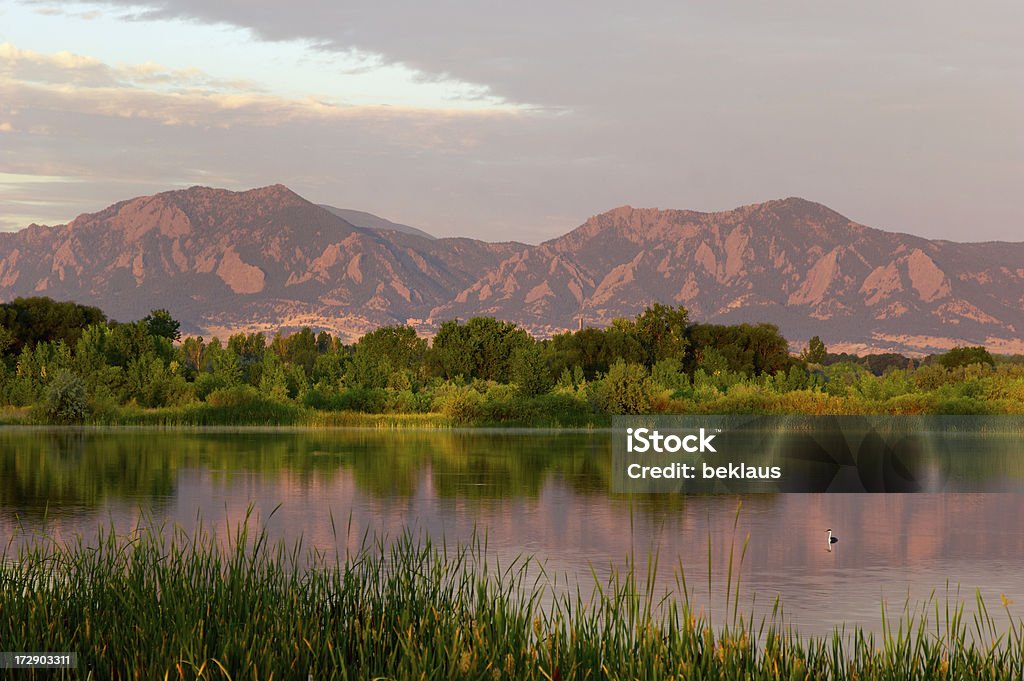 El centro comercial Flatirons al Amanecer con piscina de pájaro - Foto de stock de Boulder - Colorado libre de derechos