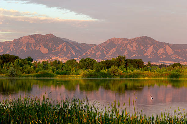 Flatirons at Dawn with Swimming Bird stock photo