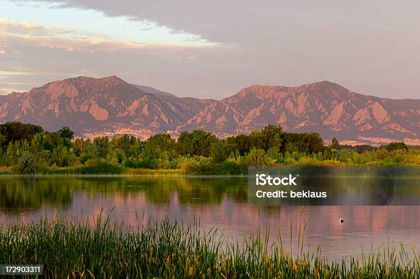 Flatirons На Рассвете С Бассейном Птица — стоковые фотографии и другие картинки Боулдер - Колорадо - Боулдер - Колорадо, Колорадо, Денвер