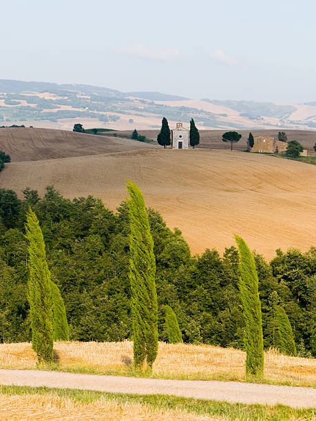 paysage de toscane - siena province photos et images de collection