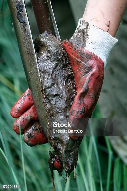 Foto de A Água E Amostras De Lama e mais fotos de stock de Espécime Médica - Espécime Médica, Biologia, Biólogo