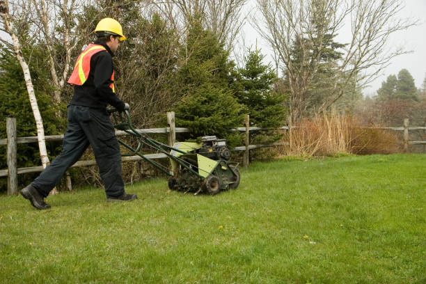 istock Landscaper/Lawn Care Worker 172905028