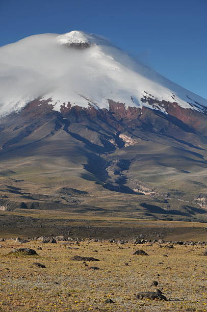 istock Snow Capped Cotopaxi Volcano 172905131