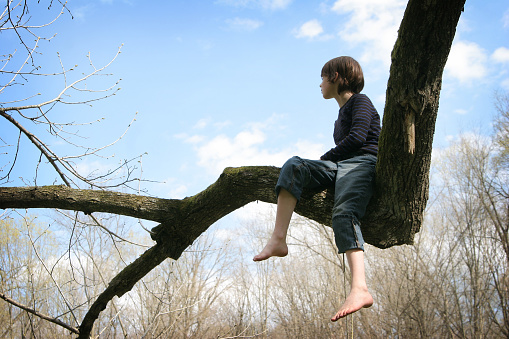 Young boy sits in the nook of a comfortable tree, looking out at the world.