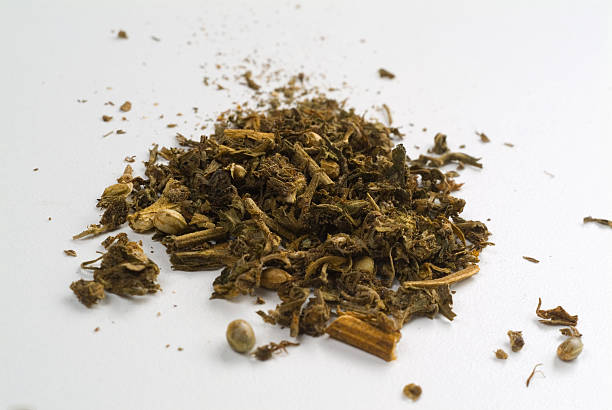 Pothead Images 70+ Pothead Stock Photos, Pictures & Royalty-Free Images - iStock