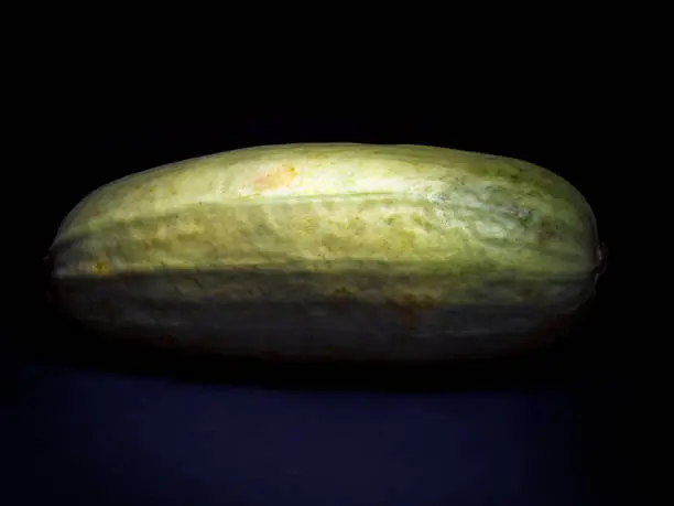 Close-up of a light-green zucchini on a dark background