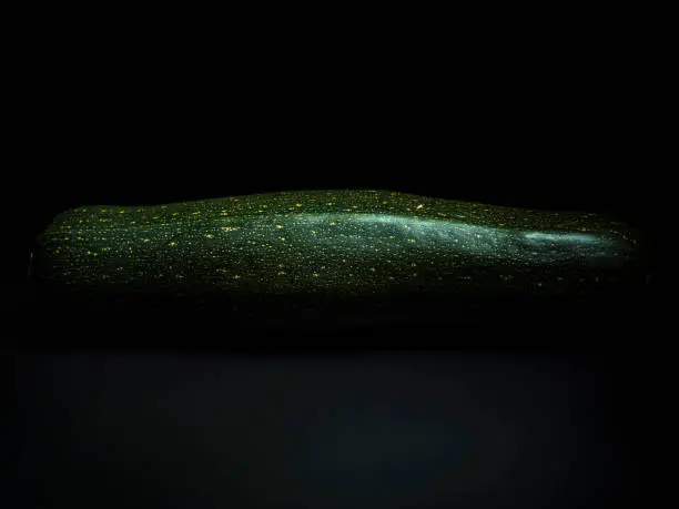 Close-up of a dark-green zucchini on a dark background