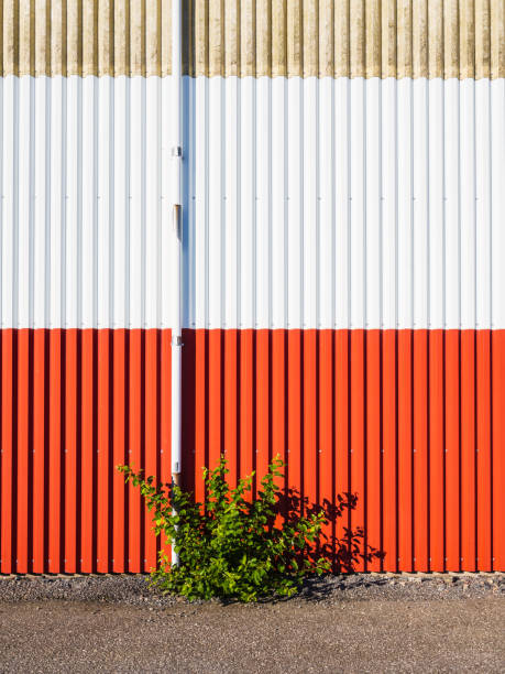 istock Green weed in front of store building 1729070074