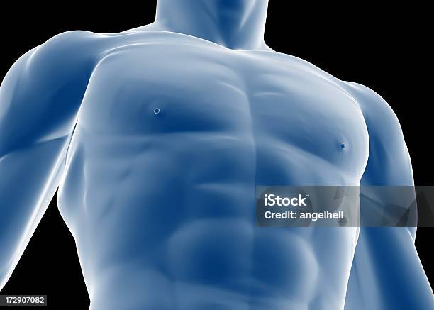 Pecho De Hombre Foto de stock y más banco de imágenes de Abdomen - Abdomen, Abdomen humano, Adulto