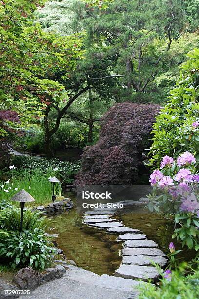 일본식 정원 디딤돌에 대한 스톡 사진 및 기타 이미지 - 디딤돌, 0명, 나무