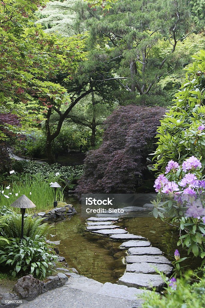 Японский сад - Стоковые фото Камень для перехода роялти-фри