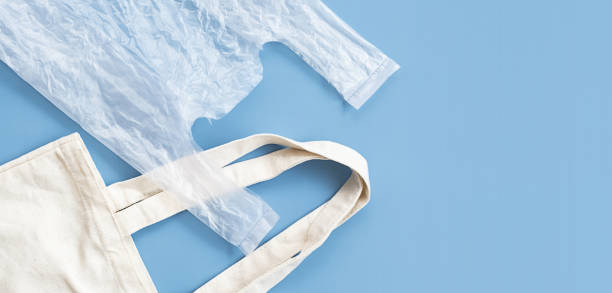 istock Choose reusable tote bag or disposable plastic bag. 1729075537