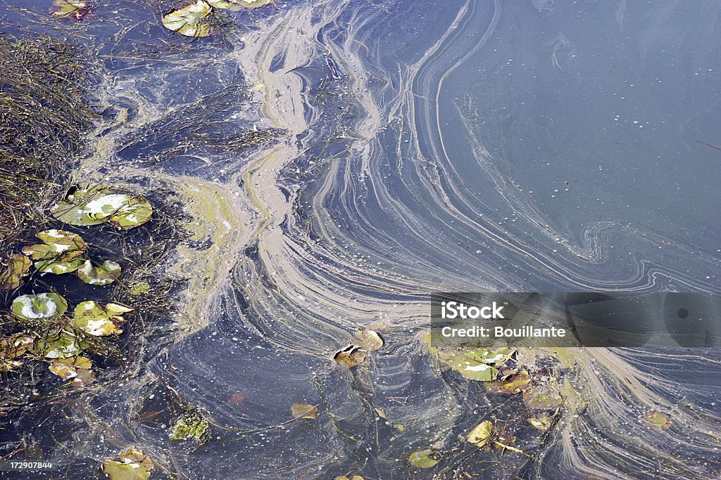 Verre à cela&nbsp;! - Photo de Désastre écologique libre de droits