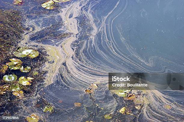 Photo libre de droit de Verre À Celanbsp banque d'images et plus d'images libres de droit de Désastre écologique - Désastre écologique, Eau, Environnement