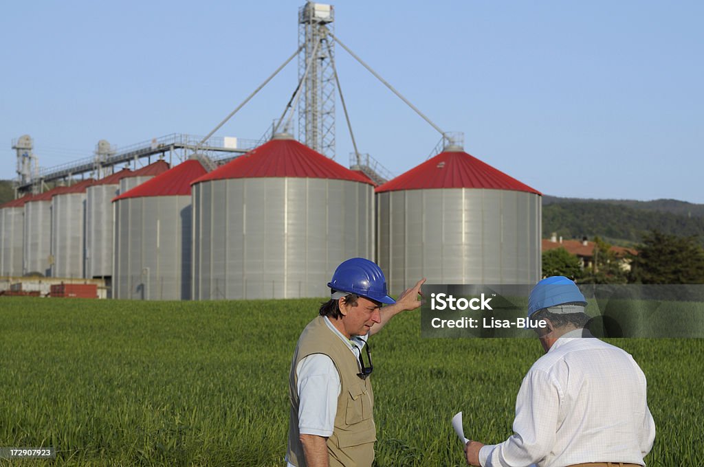 Zwei Ingenieure und neue Grain Silos - Lizenzfrei Mais - Zea Stock-Foto
