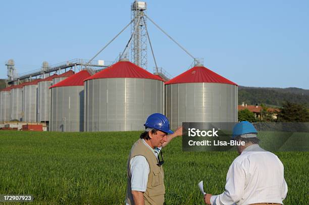 Zwei Ingenieure Und Neue Grain Silos Stockfoto und mehr Bilder von Mais - Zea - Mais - Zea, Bauarbeiterhelm, Agrarbetrieb