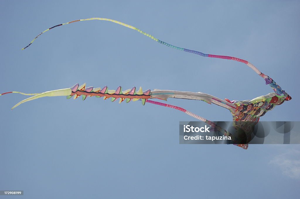 kite Kite Art Stock Photo