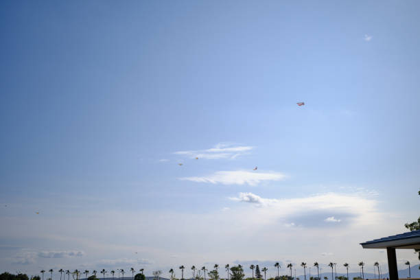 kite flying in the sky