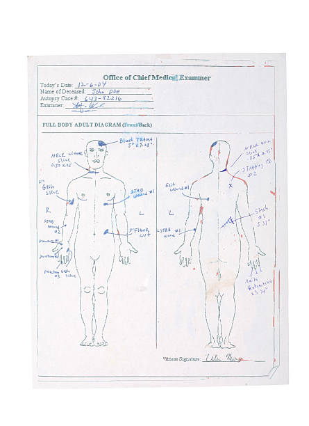2.200+ Fotos, Bilder und lizenzfreie Bilder zu Autopsie Fotos iStock