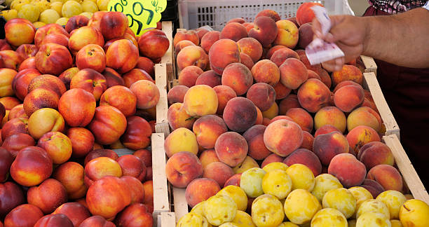 istock Fruit at farmer's market 172908465