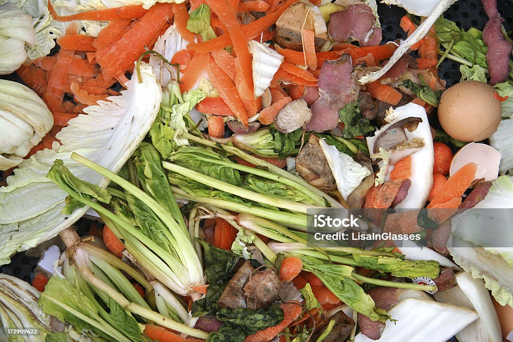 Compost minier - Photo de Carotte libre de droits