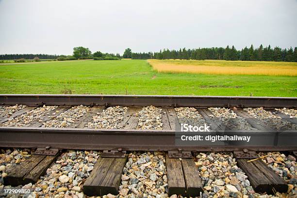 Железнодорожный Переезд — стоковые фотографии и другие картинки Без людей - Без людей, Горизонт, Горизонтальный