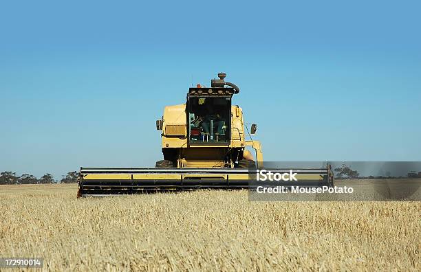 Ceifeira Debulhadora - Fotografias de stock e mais imagens de Austrália - Austrália, Colheita, Colher - Atividade Agrícola